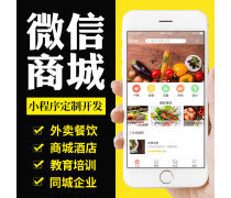 電商代運營,小程序開發,公眾號開發,微小店開發