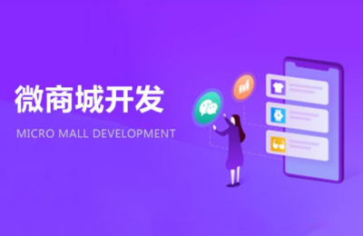 小程序開發(fā)定制_微信小程序開發(fā)推廣服務(wù)平臺