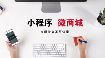 今日頭小程序定制開發 天助互聯 小程序
